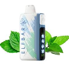 ZRM MIAMI MINT MONITOR SET KIT VAPE 30000 PUFFS