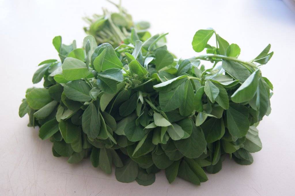 ZURI FENUGREEK LEAVES