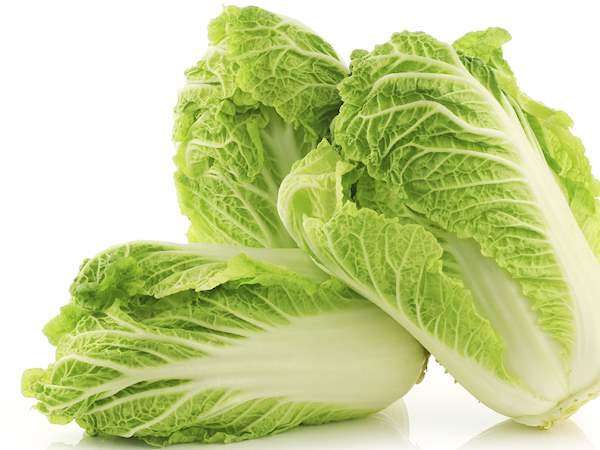 ZURI CHINESE CABBAGE