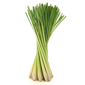ZURI LEMON GRASS PER BUNCH