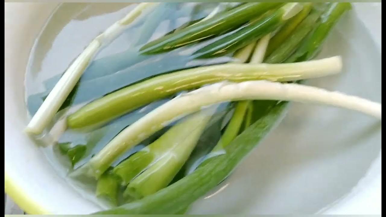 ZURI SPRING/SALAD ONION