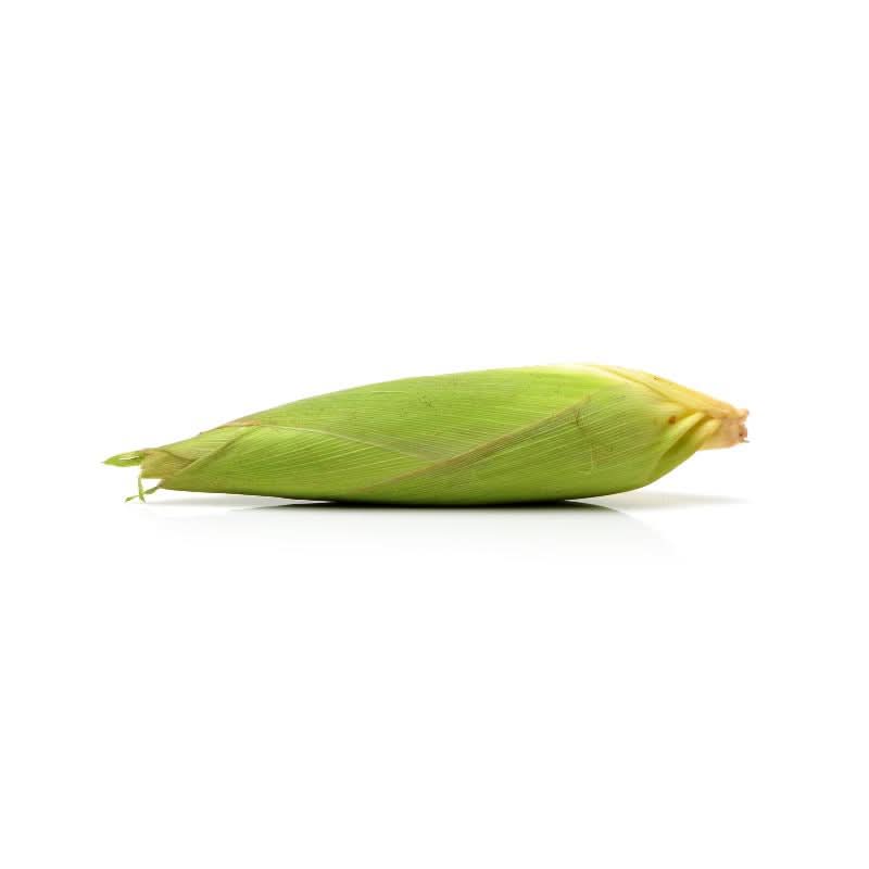 ZURI MAIZE 1 PIECE