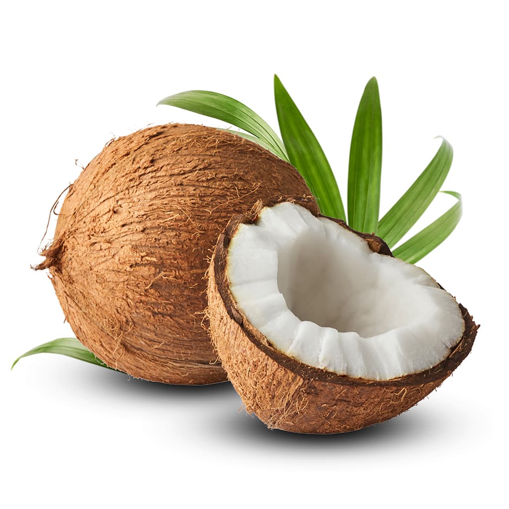 Zuri Coconut Pc