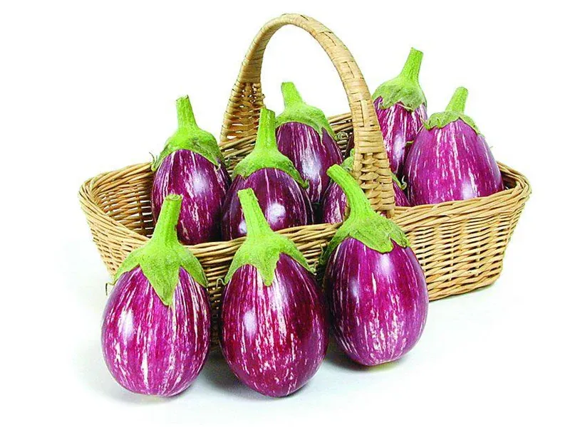 Zuri Brinjal