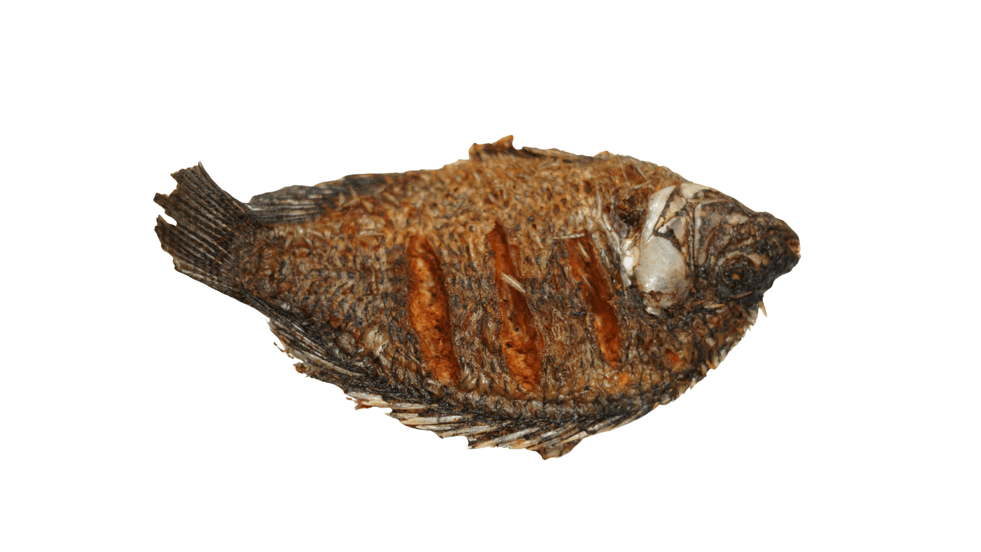 CLEANSHELF DELI WHOLE FISH