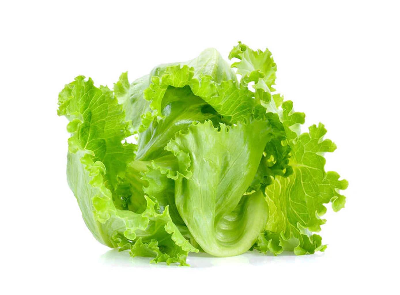 ZURI ICEBERG LETTUCE 1PC