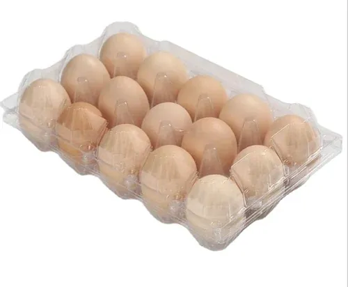EGGS 15 PACK TRAY