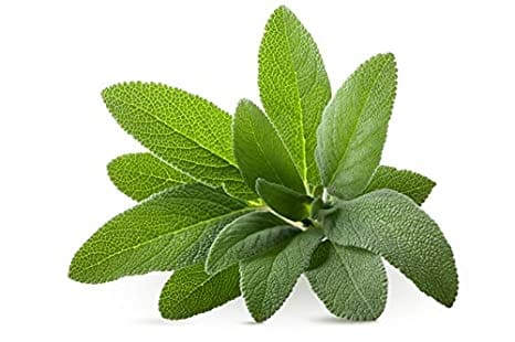 ZURI SAGE LEAVES PER PC