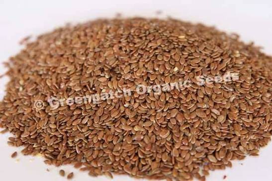 CB LIN SEEDS / FLAX SEEDS