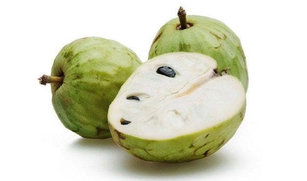 ZURI TOMOKO FRUIT