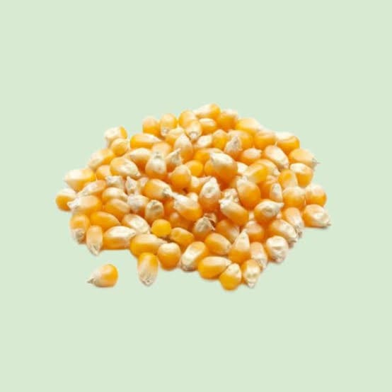 CB POPCORN PER KG