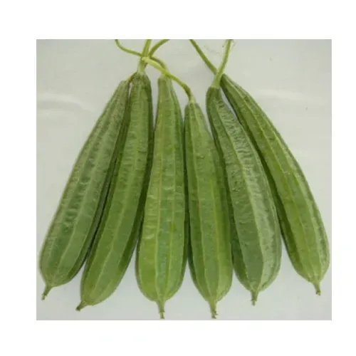 ZURI TURIA PER KG