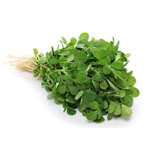 ZURI METHI