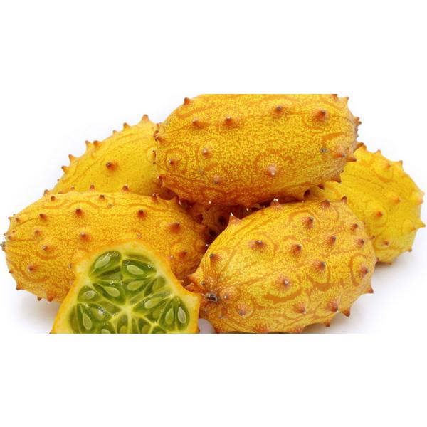 Thorn Melon