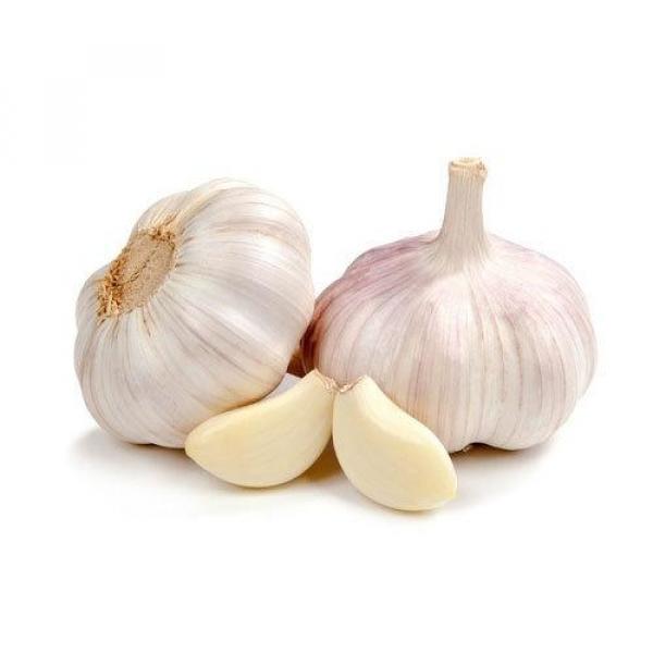 Garlic Small Net