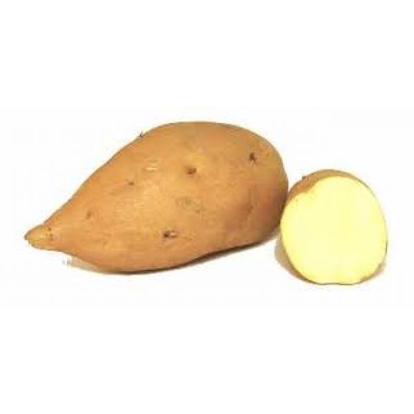 Sweet Potato White Per Kg
