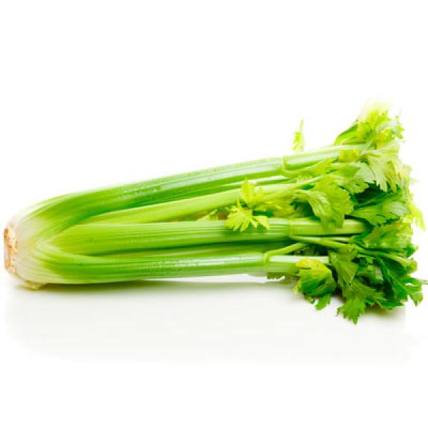 Celery