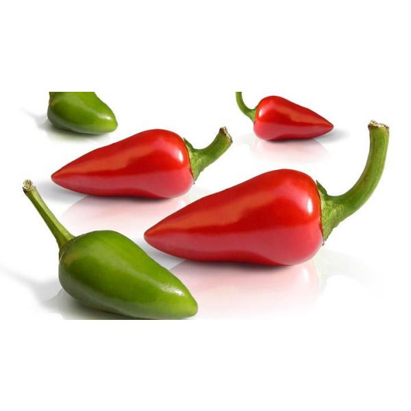 Bullet Chillies