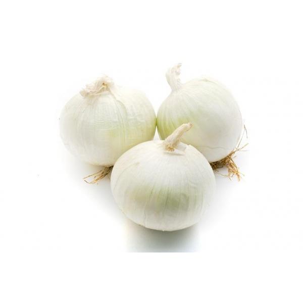 White Onions Per Kg