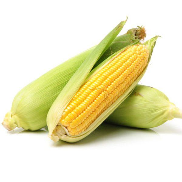 Maize 1Pc