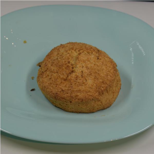 Cleanshelf Coconut Bun