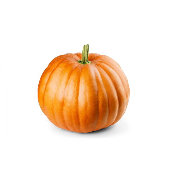 Pumpkin Full