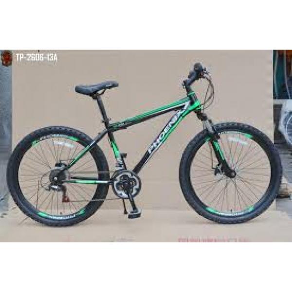 Mtb Nice Phoenix 26" Gear Bike