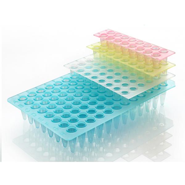 Thermo Pak Green Plate Disp