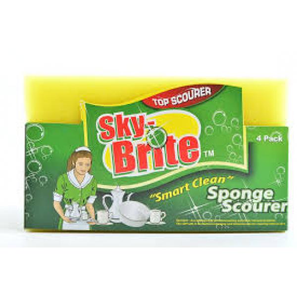 Skybrite Sponge S/Pad 1Pk