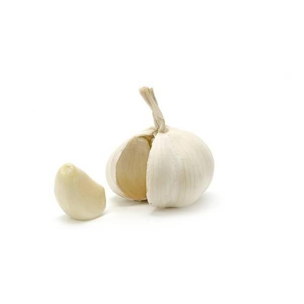 Garlic 1Pc
