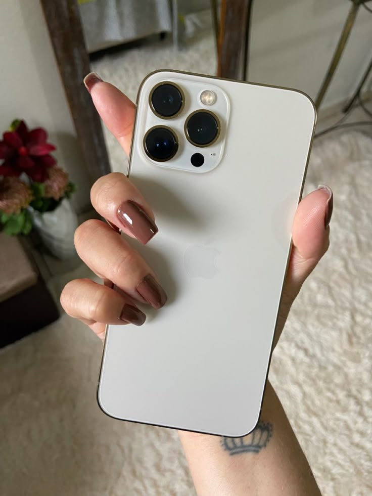 Iphone 13 pro max 256gb