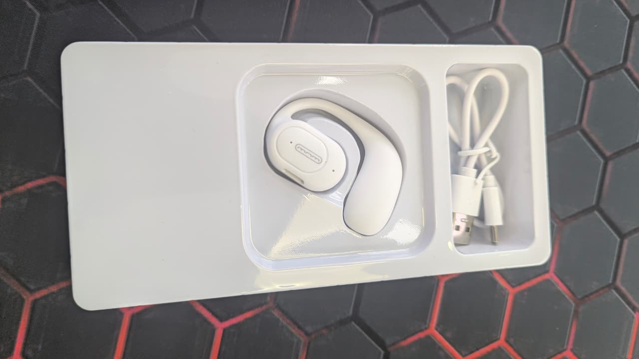 Earhook Wireless Headset